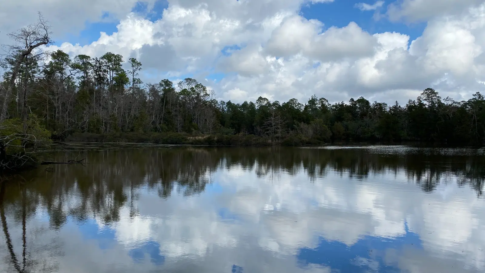 A peaceful lake in the Seminole Landing neighborhood