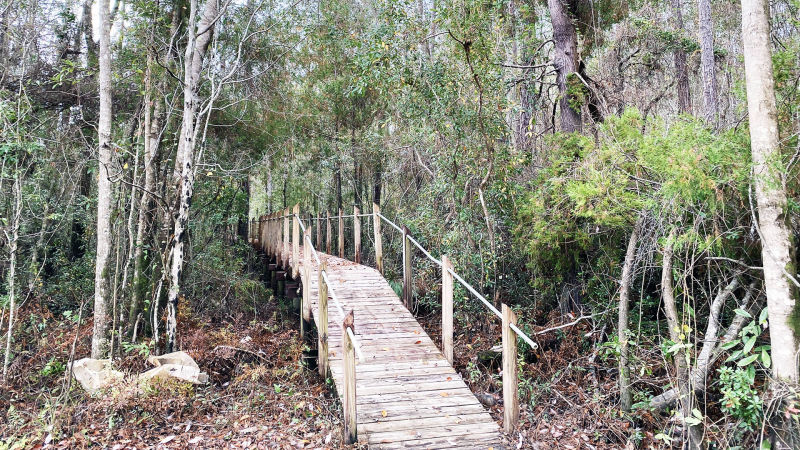 Boardwalk Entrance